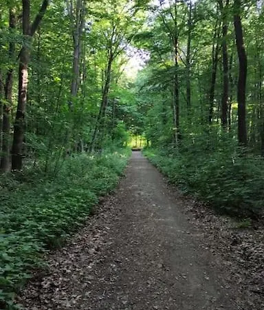 דירה Naturnah In *