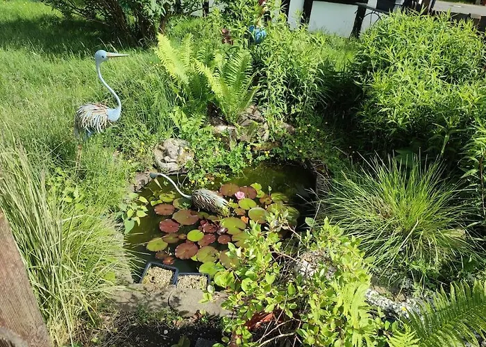 Lejlighed Naturnah In Hellenthal