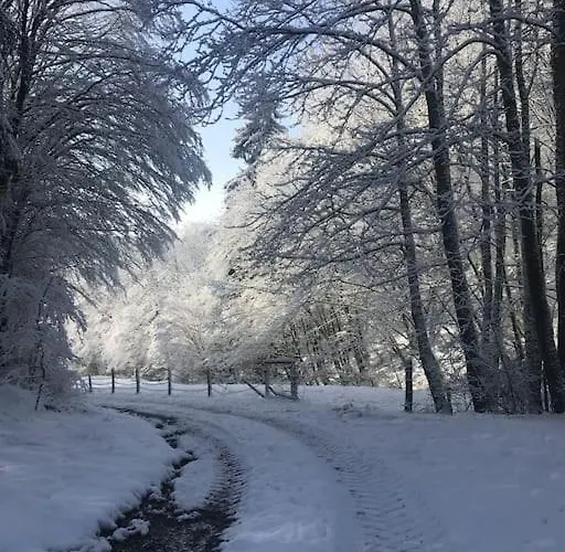 Naturnah In * Hellenthal