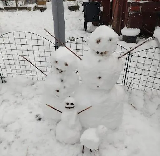 Naturnah In Lejlighed Hellenthal